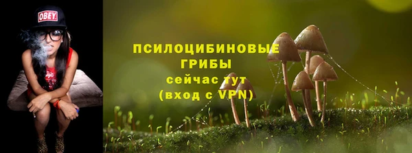 дживик Алексеевка